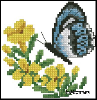 Схема бабочки вышивки крестом