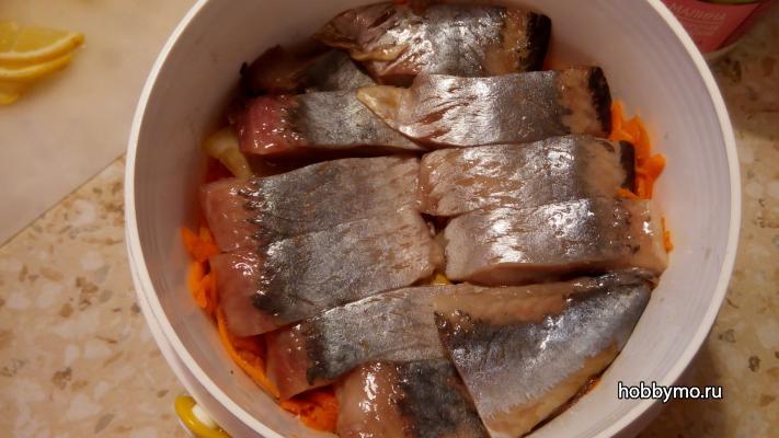 Закусочная селедка по-голландски Закусочная селедка по-голландски,,закуски,холодные закуски,селедка,как посолить селедку,рецепт соленой селедки,селедка по-голландски
