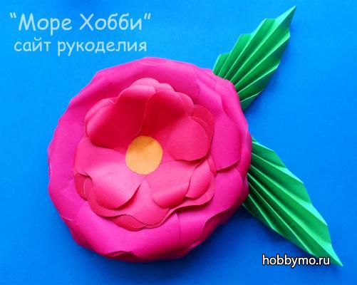 Яркий цветок из бумаги. Пион из бумаги (мастер-класс) Яркий цветок из бумаги. Пион из бумаги (мастер-класс)