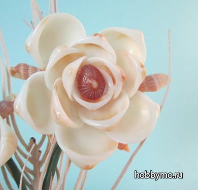 Цветы из ракушек своими руками пошагово фото 899