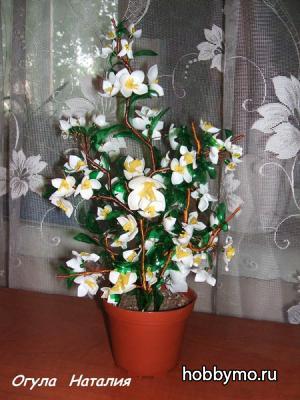 Жасмин из пластиковых бутылок Жасмин из пластиковых бутылок