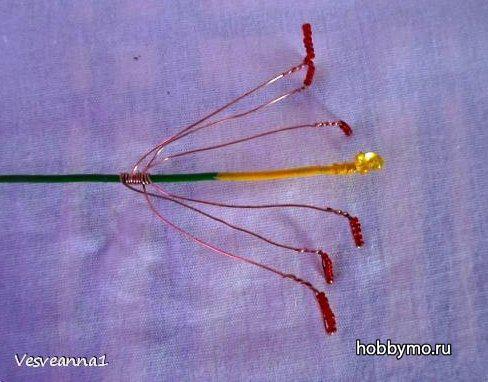 Лилия из пластиковой бутылки Лилия из пластиковой бутылки,,пластиковые бутылки,цветы из пластиковых бутылок,лилии,поделки из пластиковых бутылок,лилии из пластиковых бутылок,из пластиковых бутылок,цветок из бутылки