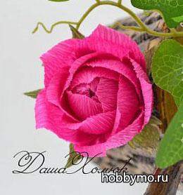 Розочка из конфет и гофрированной бумаги Розочка из конфет и гофрированной бумаги