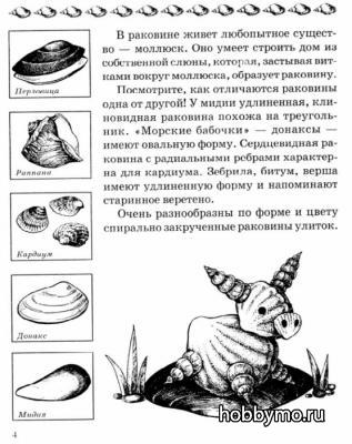 Поделки из ракушек и пластилина своими руками Поделки из ракушек и пластилина своими руками,,природные материалы,ракушки,поделки из ракушек,поделки из ракушек и пластилина