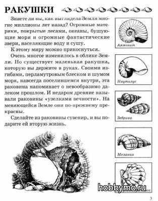 Поделки из ракушек и пластилина своими руками Поделки из ракушек и пластилина своими руками,,природные материалы,ракушки,поделки из ракушек,поделки из ракушек и пластилина