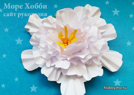 Большой пион из бумаги своими руками Большой пион из бумаги своими руками