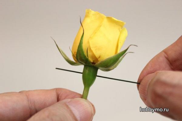 Бутоньерка из живых цветов Бутоньерка из живых цветов,,бутоньерки,флористика,свадьба,выпускной бал
