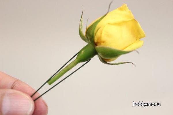 Бутоньерка из живых цветов Бутоньерка из живых цветов,,бутоньерки,флористика,свадьба,выпускной бал