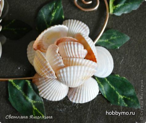 Цветок из ракушек своими руками. Поделки из ракушек Цветок из ракушек своими руками. Поделки из ракушек,,ракушки,поделки из ракушек,цветы из ракушек,панно из ракушек
