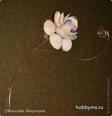 Цветок из ракушек своими руками. Поделки из ракушек Цветок из ракушек своими руками. Поделки из ракушек,,ракушки,поделки из ракушек,цветы из ракушек,панно из ракушек