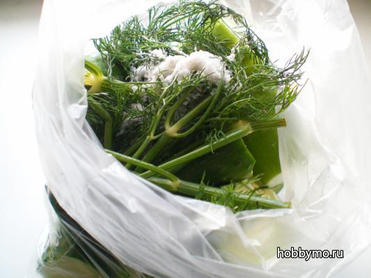Малосольные огурчики в пакете – просто, быстро и очень вкусно Малосольные огурчики в пакете – просто, быстро и очень вкусно,,малосольные огурчики,малосольные огурцы,консервирование,огурцы