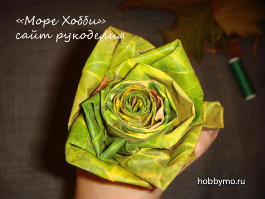 Розы из кленовых листьев своими руками Розы из кленовых листьев своими руками,,розы своими руками,осенние листья,кленовые листья,поделки из листьев,розы из кленовых листьев,роза из листьев,розы из листьев,розы,букет цветов из листьев,осень