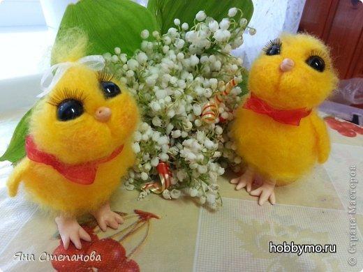 Цыплята из шерсти (сухое валяние) Цыплята из шерсти (сухое валяние),,цыплята из шерсти,цыпленок из шерсти,птицы из шерсти,сухое валяние