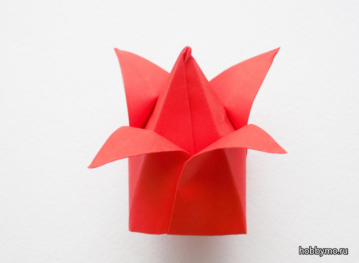 Оригами тюльпан: инструкция с фото