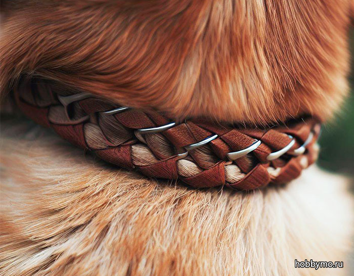 Плетем простой и удобный ошейник для собак своими руками